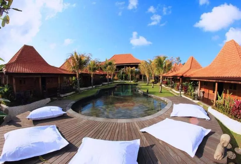 Yoga Searcher Bali