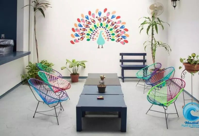 ユースホステル Hostal Azul Y Blanco