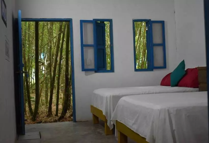 هتل El Huerto Del Bambu