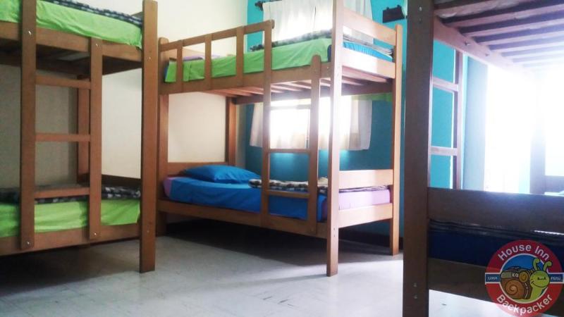 Отель House Inn Backpackers