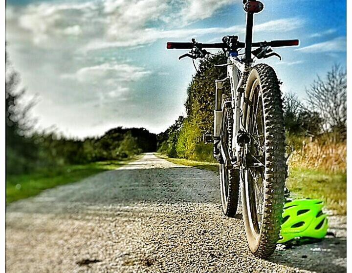 ホテル Hvalpsund Færgekro