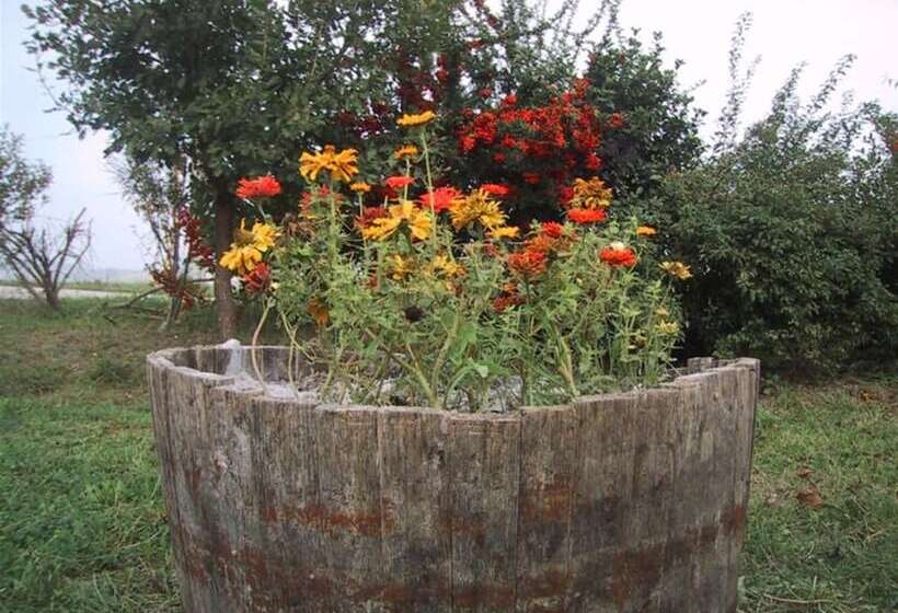 בית מלון כפרי La Quercia Del Saggio