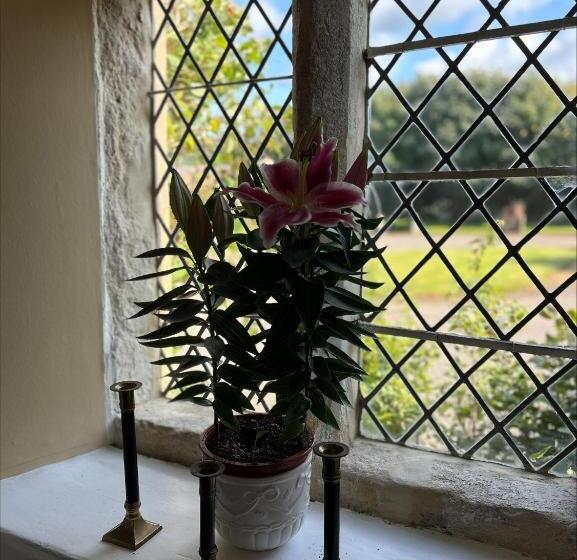 فندق Moresby Hall Country House