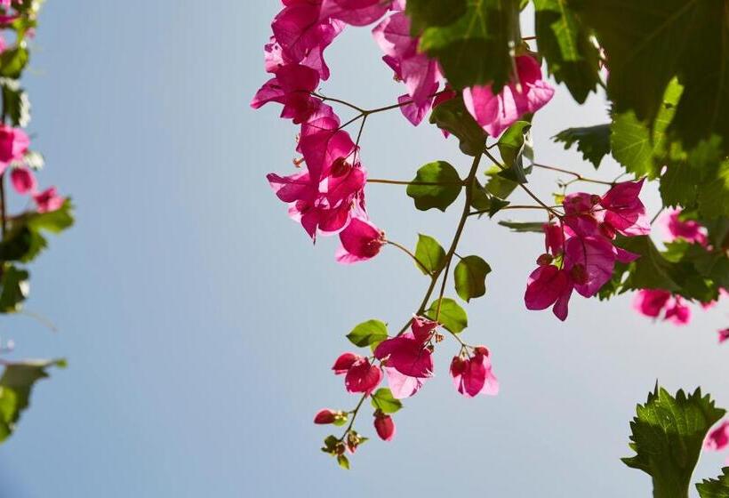 Mrs. Armelina By Mr&mrs White Hotels