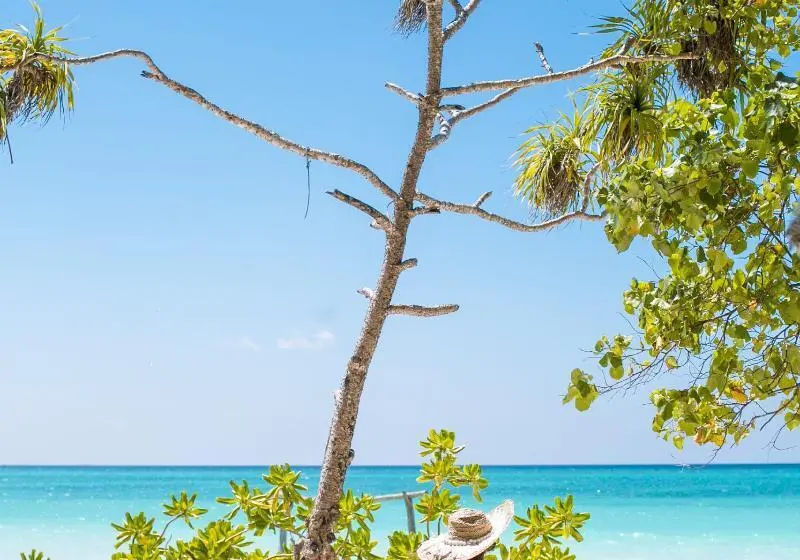 پانسیون Nazaki Beach
