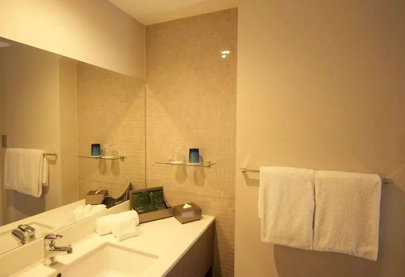 Quintessa Hotel Osaka Bay