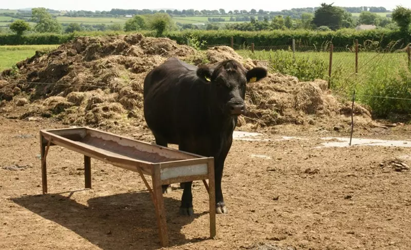 Ardscull Farmhouse B&b