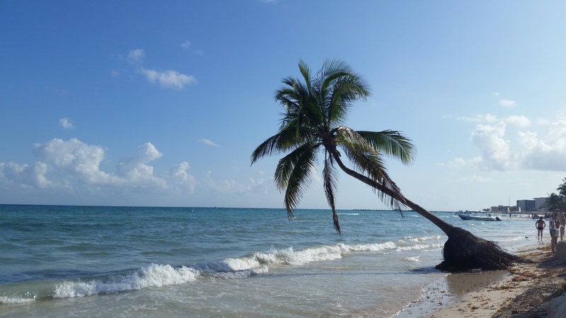 Condo Hotel Alquimia