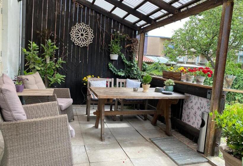 Davaa's Bed & Breakfast