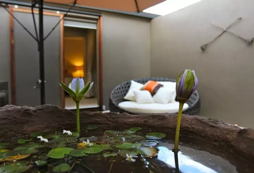 ホテル Crystalbrook Lodge