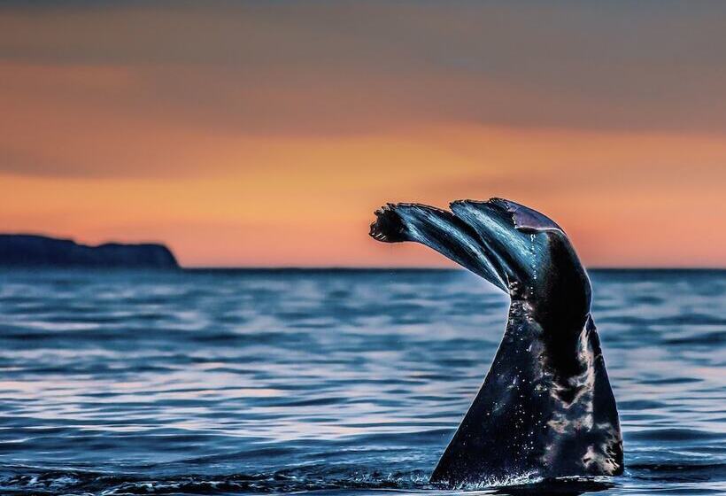 בית מלון כפרי The Factory