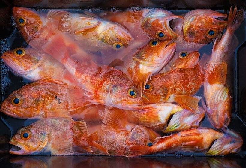 בית מלון כפרי The Factory