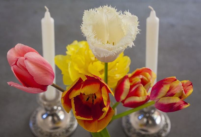 בית מלון כפרי The Factory