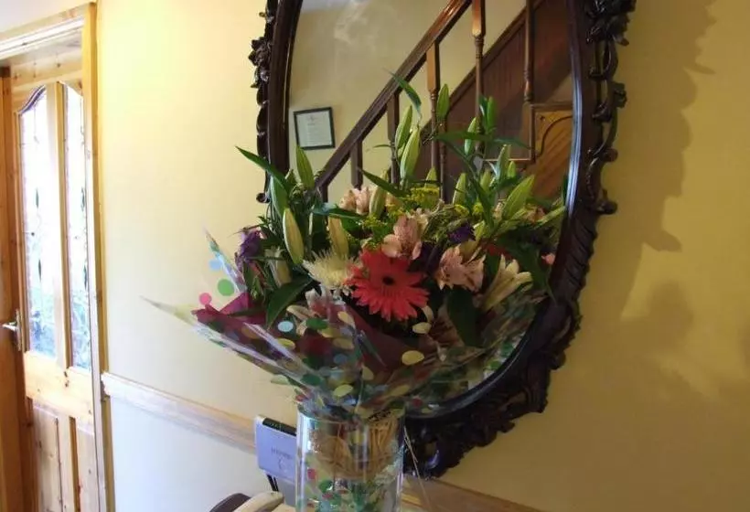 O'sheas Ceol Na Habhann B&b