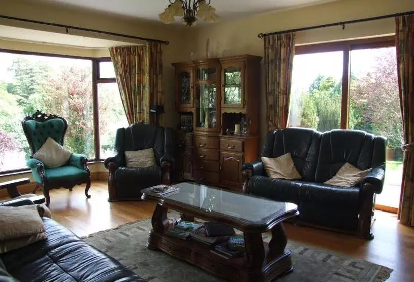 O'sheas Ceol Na Habhann B&b
