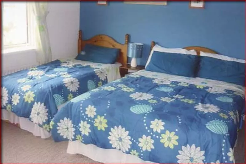 The Yellow Rose B&b
