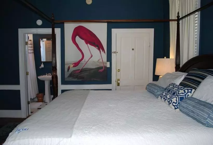 هتل Bijou Boutique Inn