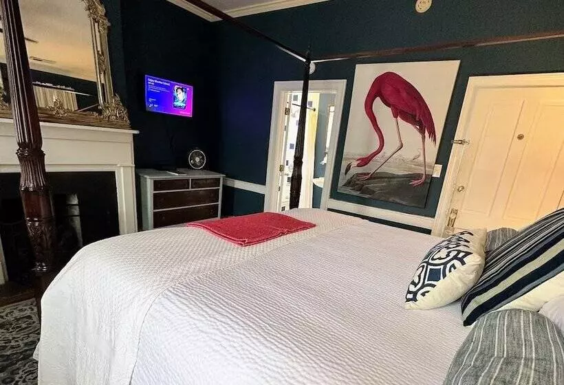 هتل Bijou Boutique Inn