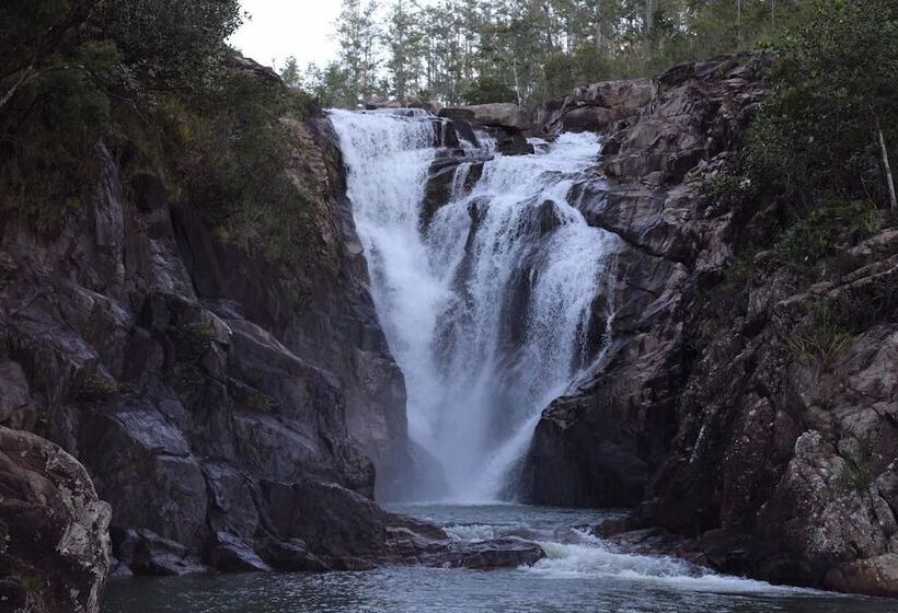 ホテル Cassia Hill Resort