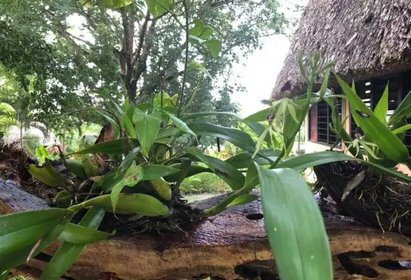 Hotelli Cassia Hill Resort