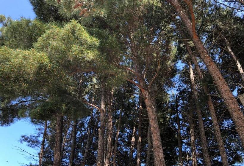 בית מלון כפרי Kristal Beach