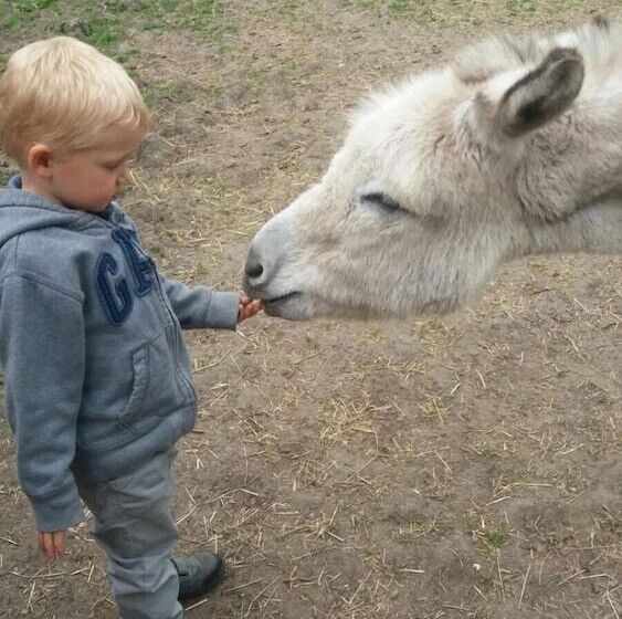 酒店 La Passiflore B&b