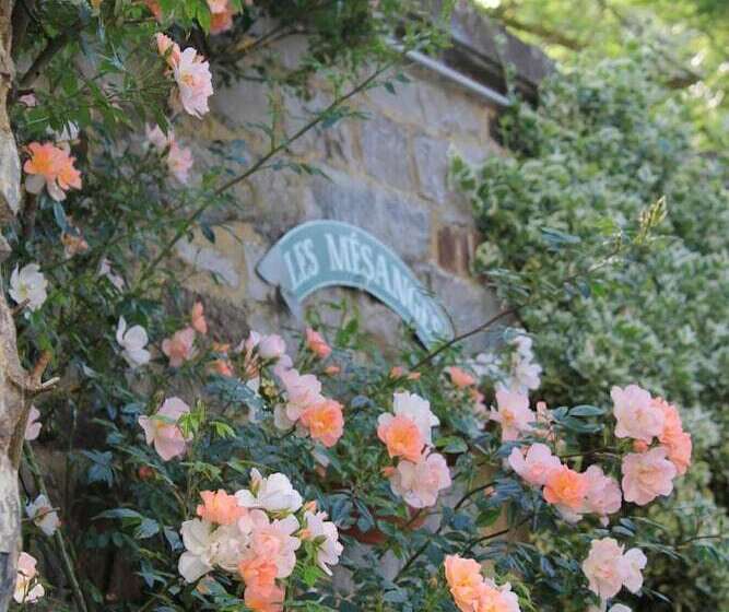 酒店 La Passiflore B&b