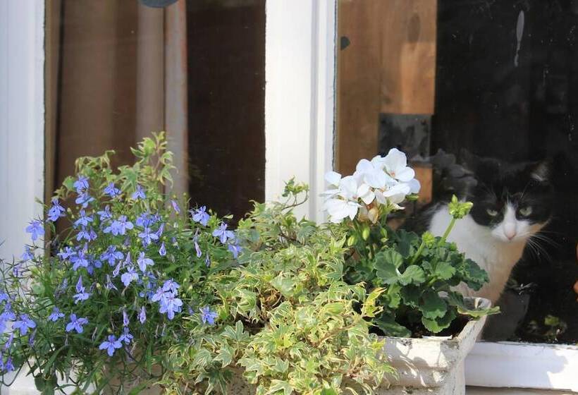 酒店 La Passiflore B&b