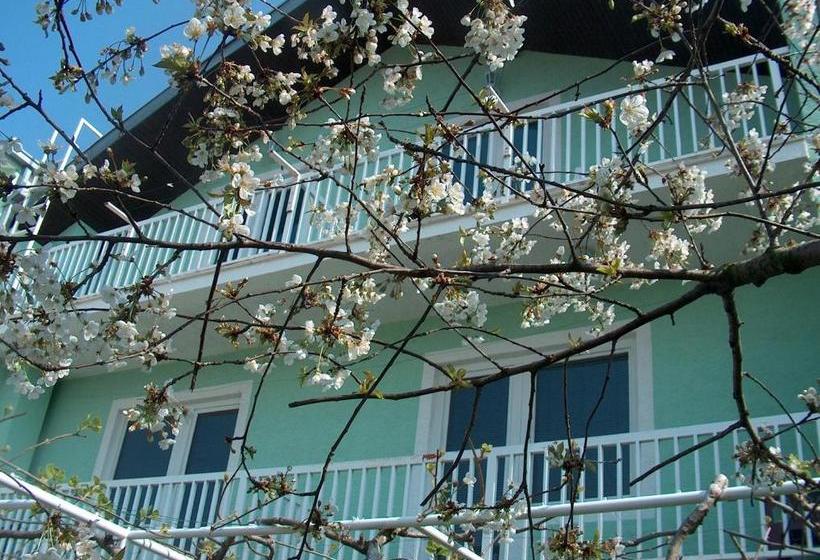 هتل Pansion Devotions