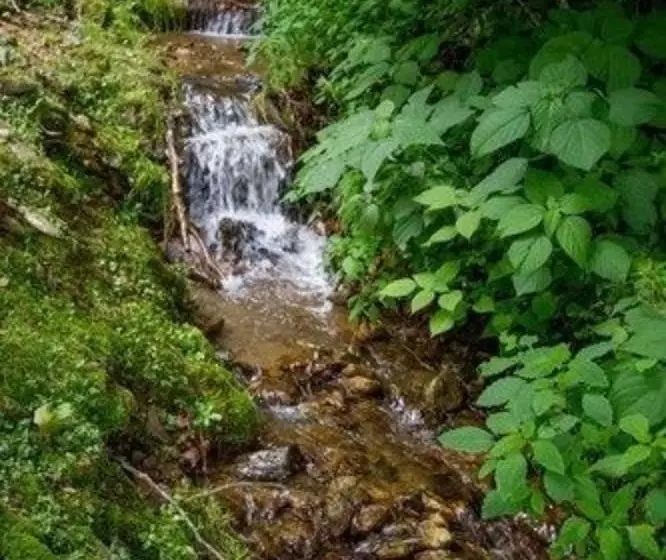 Hotelli Bald Mountain House Inn At The Wolf Laurel Resort