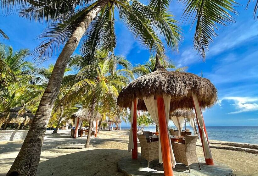 בית מלון כפרי Coco Grove Beach Resort, Siquijor Island