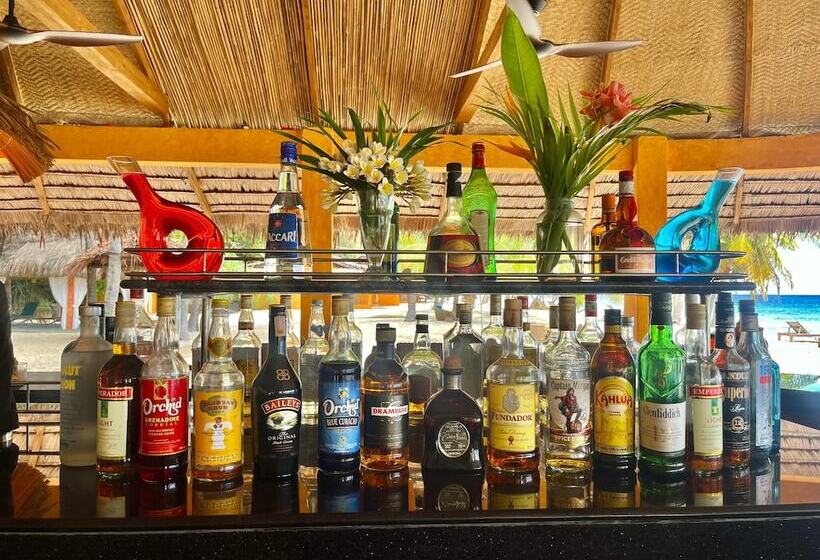 בית מלון כפרי Coco Grove Beach Resort, Siquijor Island