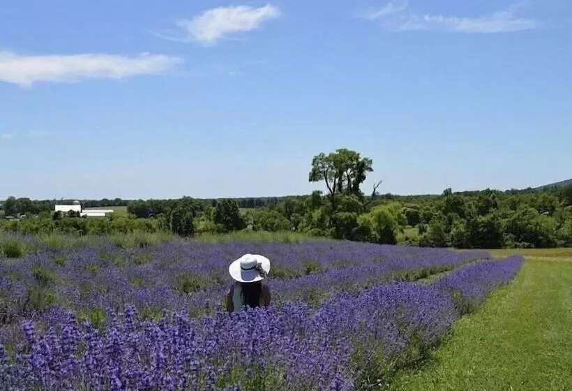 Hotelli Inn At Springfield Manor