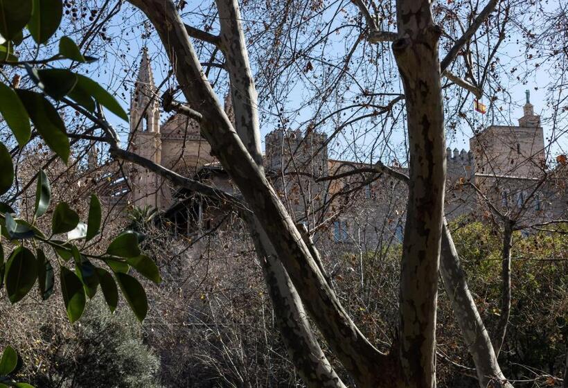 Borne Suites Ti By Mallorcasuites