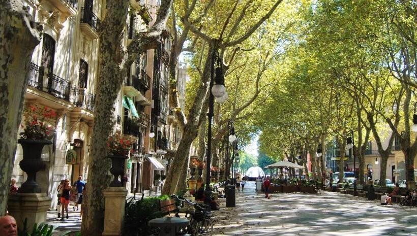 Borne Suites Ti By Mallorcasuites