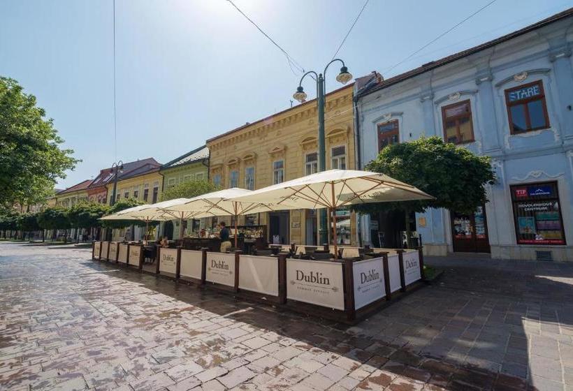 ホテル 101 Penzion