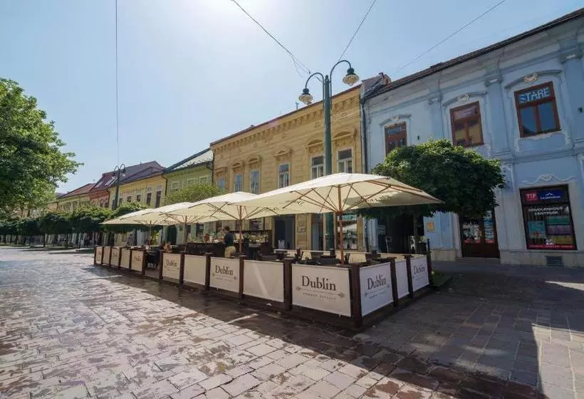 ホテル 101 Penzion