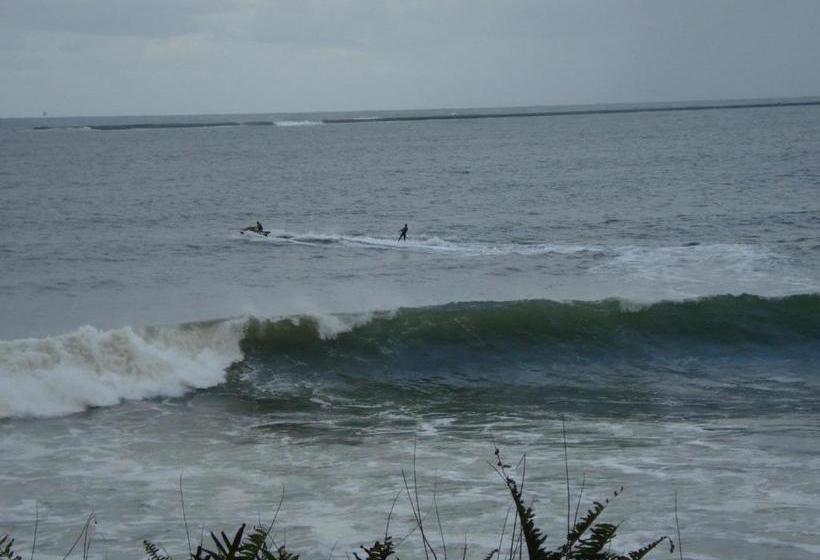 فندق Bay House Bed And Breakfast