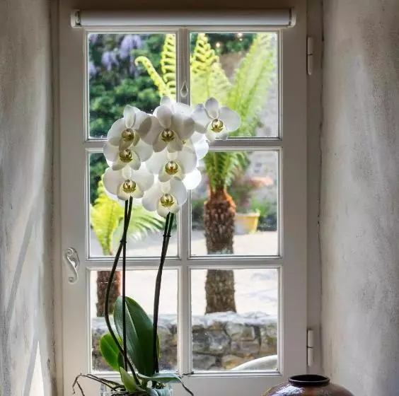 هتل Gîte Des Fougères