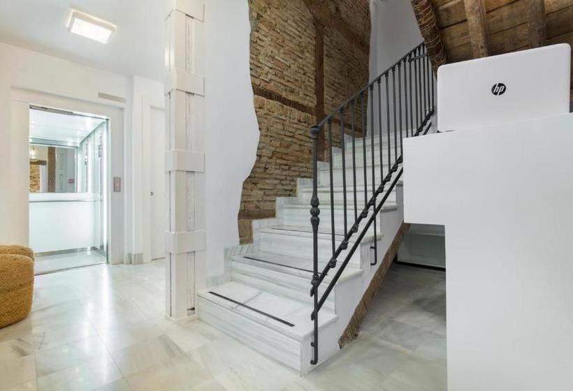 Hôtel Shine Alcaiceria