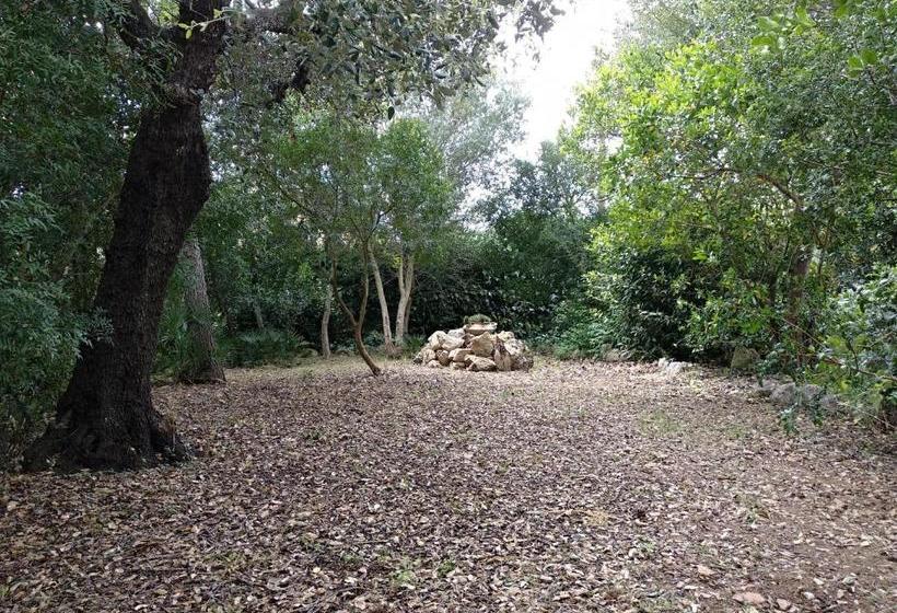 هتل Villa Lorenzo