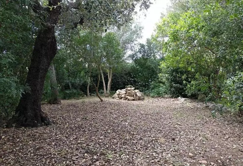 هتل Villa Lorenzo