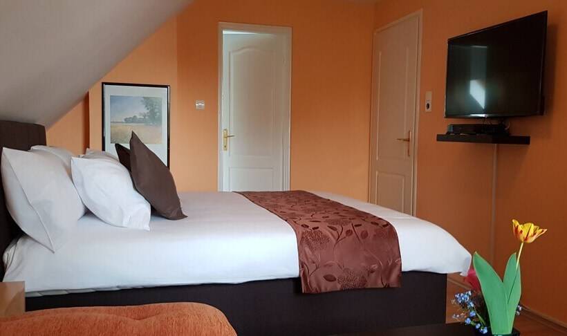 בית מלון כפרי Joy Guesthouse