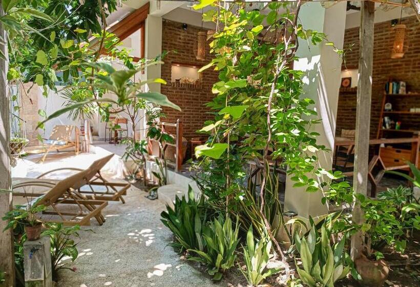 هتل Soraya Yoga Wellness Center