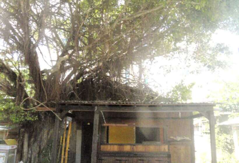 Hotel 月光荘沖縄