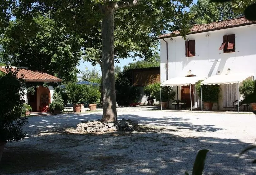 ホテル Agriturismo La Pisana