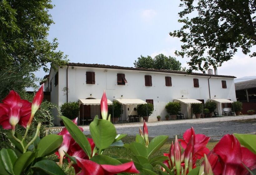 فندق Agriturismo La Pisana