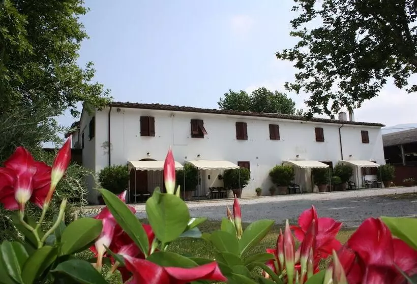 ホテル Agriturismo La Pisana