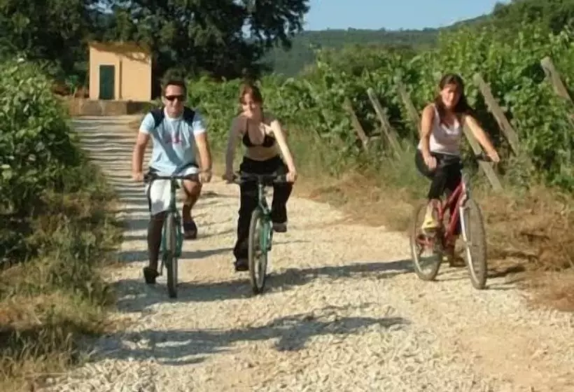 ホテル Agriturismo La Pisana
