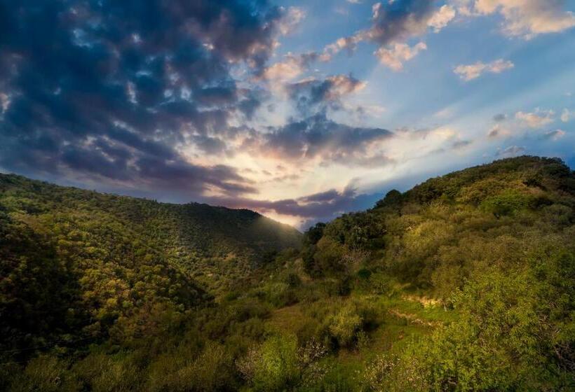 Отель B&b Gàttina